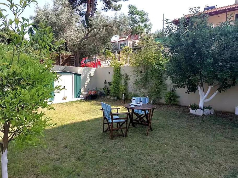 Aurora Studio Lagonissi لاغونيسي المظهر الخارجي الصورة