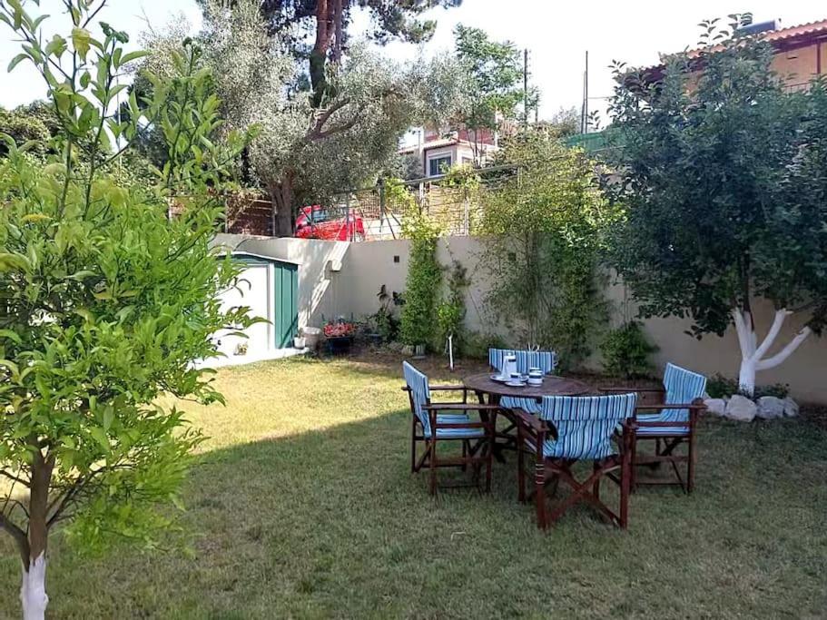 Aurora Studio Lagonissi لاغونيسي المظهر الخارجي الصورة